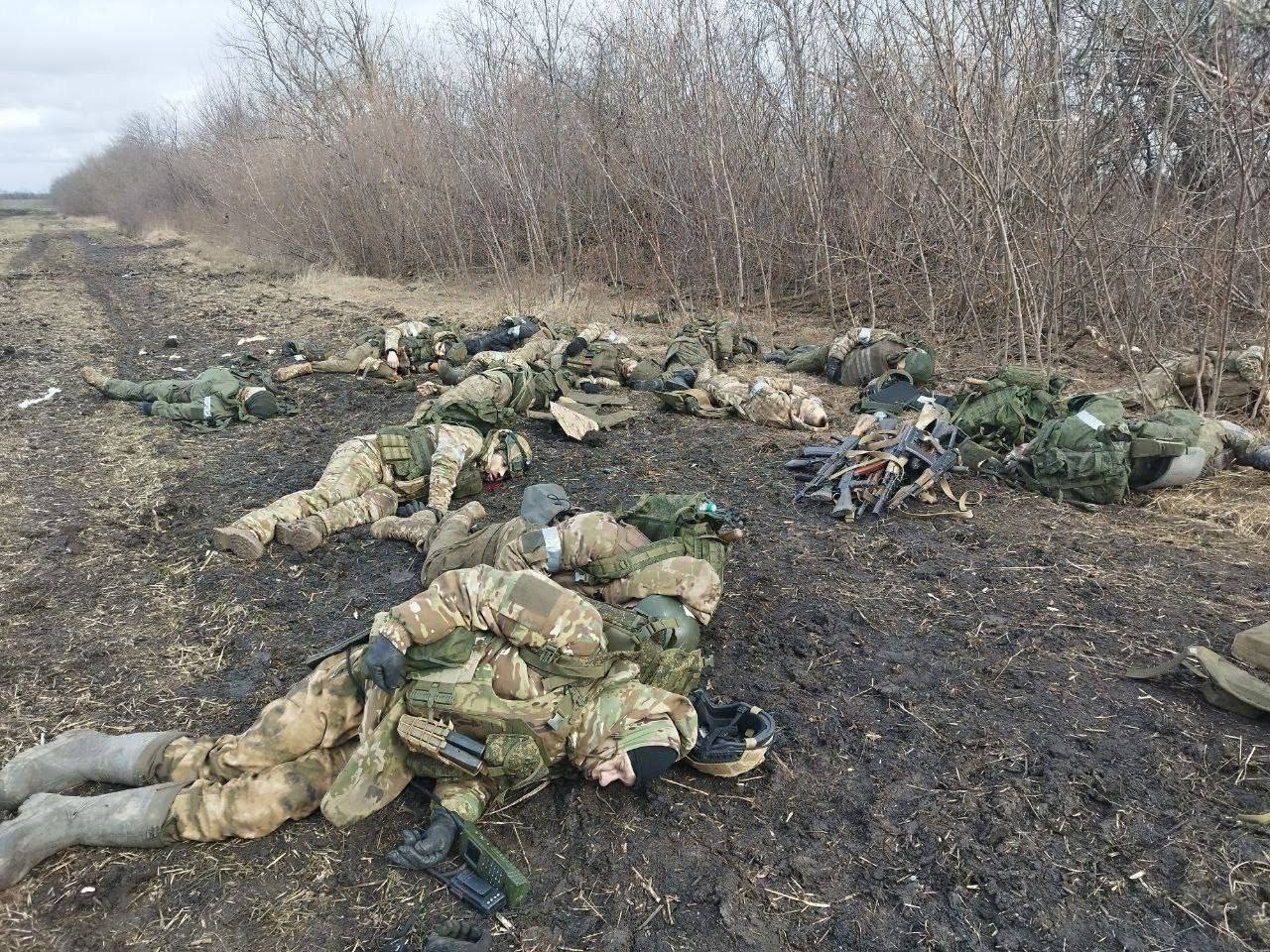 Изображение из галереи