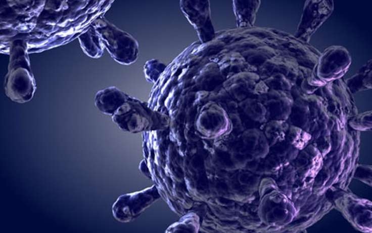 virus_vich