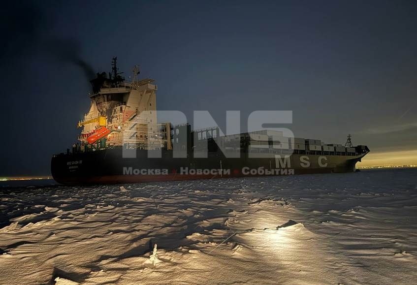 Фото: MNS